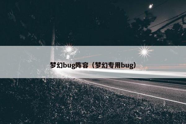 梦幻bug阵容（梦幻专用bug）
