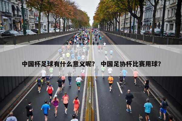 中国杯足球有什么意义呢？ 中国足协杯比赛用球？