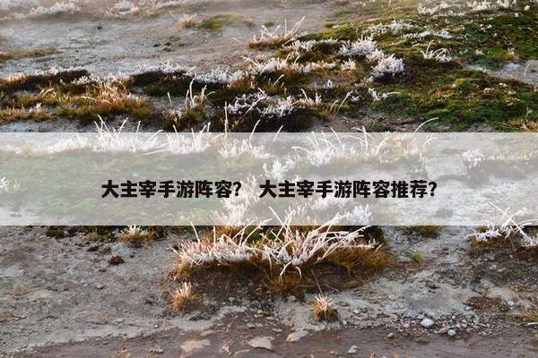 大主宰手游阵容？ 大主宰手游阵容推荐？