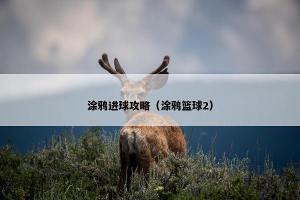 涂鸦进球攻略（涂鸦篮球2）