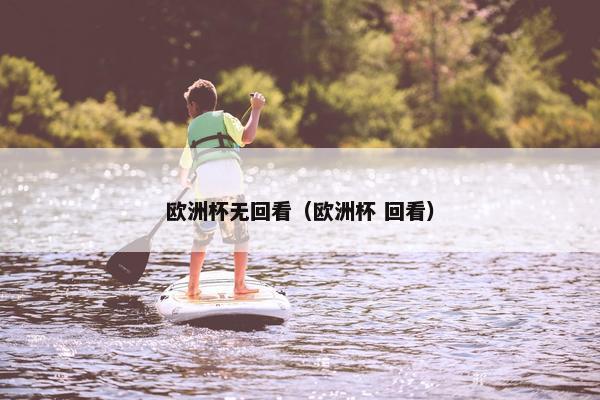 欧洲杯无回看（欧洲杯 回看）