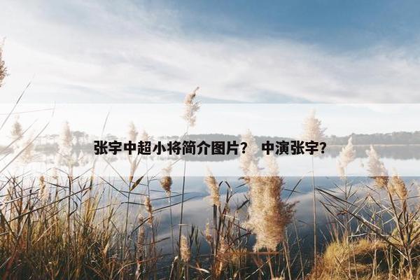张宇中超小将简介图片？ 中演张宇？