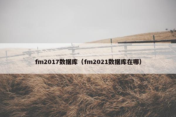fm2017数据库（fm2021数据库在哪）