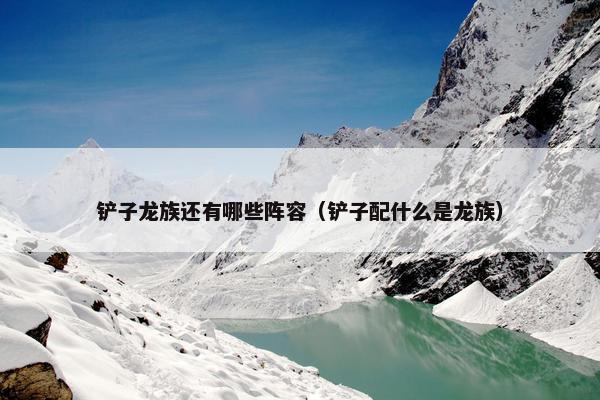 铲子龙族还有哪些阵容（铲子配什么是龙族）