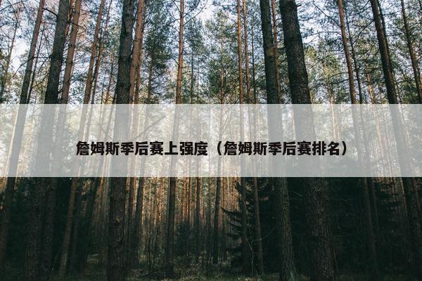 詹姆斯季后赛上强度（詹姆斯季后赛排名）