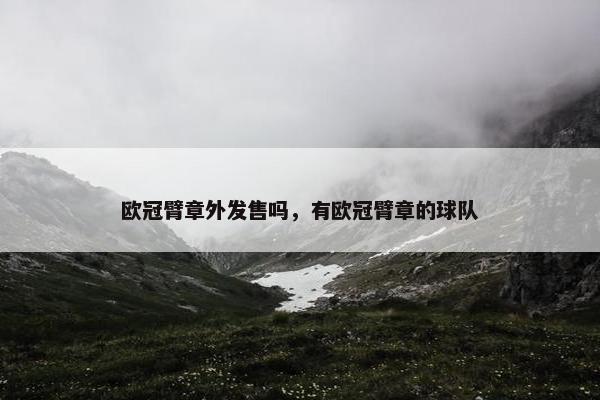欧冠臂章外发售吗，有欧冠臂章的球队