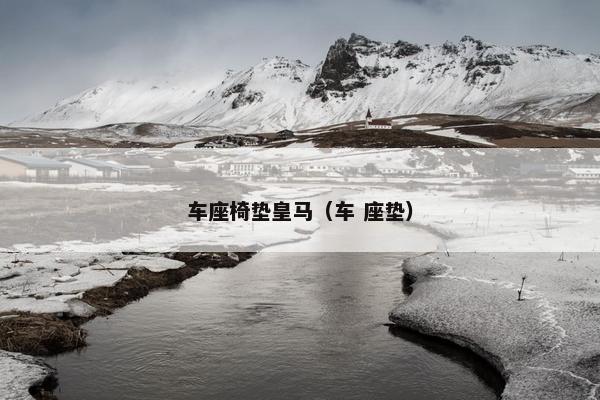 车座椅垫皇马（车 座垫）