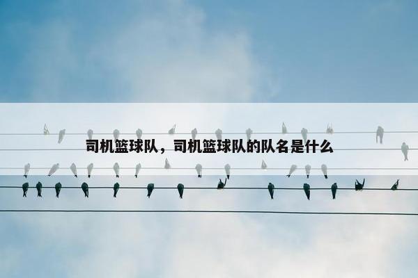 司机篮球队，司机篮球队的队名是什么