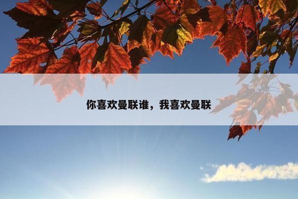 你喜欢曼联谁，我喜欢曼联