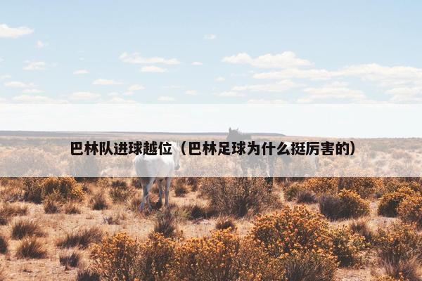 巴林队进球越位（巴林足球为什么挺厉害的）