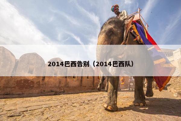 2014巴西告别（2014巴西队）