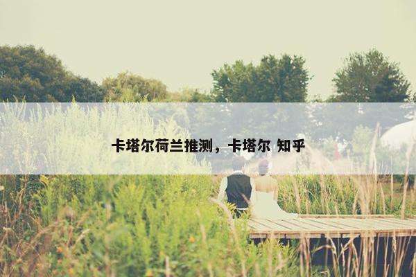 卡塔尔荷兰推测，卡塔尔 知乎