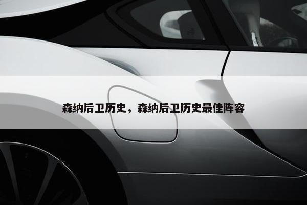 森纳后卫历史，森纳后卫历史最佳阵容