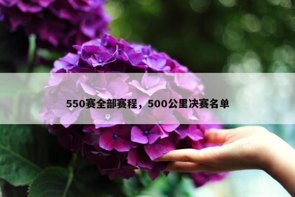 550赛全部赛程，500公里决赛名单