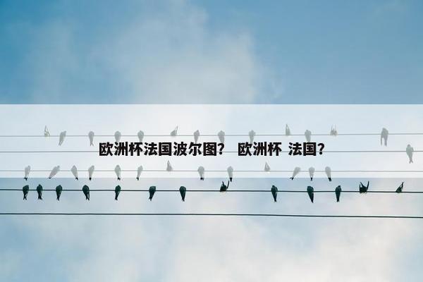 欧洲杯法国波尔图？ 欧洲杯 法国？