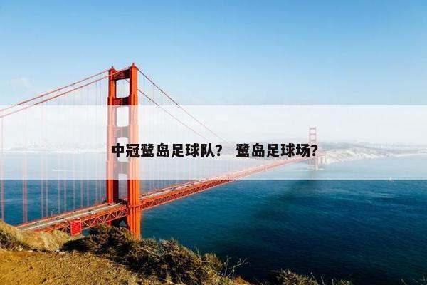 中冠鹭岛足球队？ 鹭岛足球场？