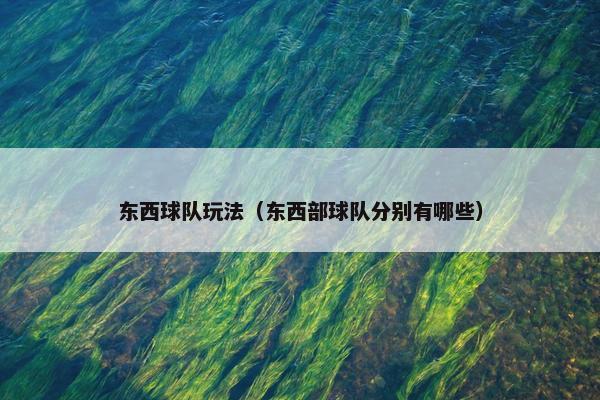 东西球队玩法（东西部球队分别有哪些）