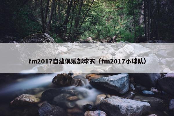 fm2017自建俱乐部球衣（fm2017小球队）