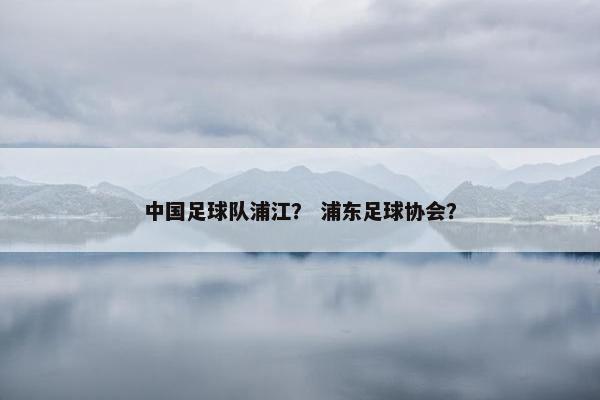 中国足球队浦江？ 浦东足球协会？