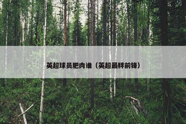 英超球员肥肉谁（英超最胖前锋）
