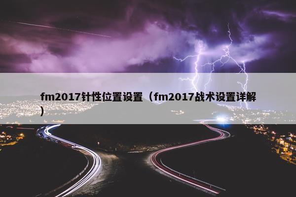 fm2017针性位置设置（fm2017战术设置详解）