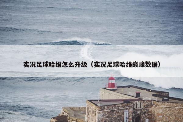 实况足球哈维怎么升级（实况足球哈维巅峰数据）
