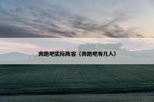 奔跑吧实际阵容（奔跑吧有几人）