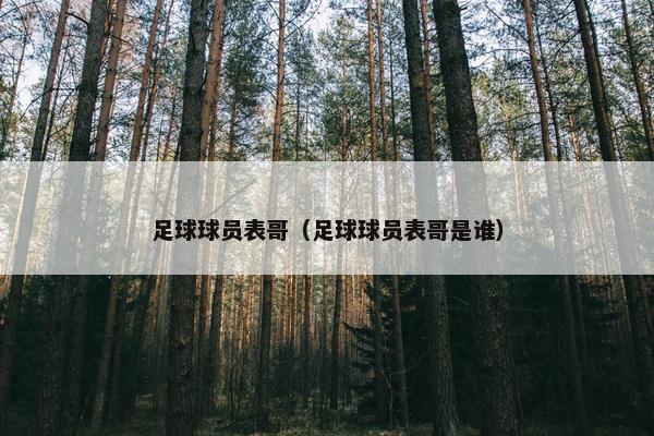 足球球员表哥(足球球员表哥是谁) 足球球员表哥(足球球员表哥是谁)