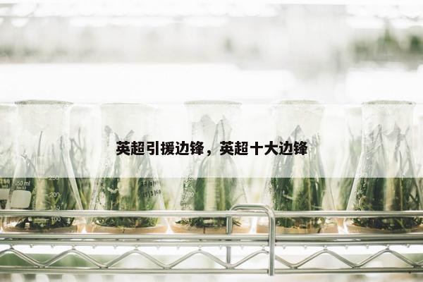 英超引援边锋,英超十大边锋 英超引援边锋,英超十大边锋