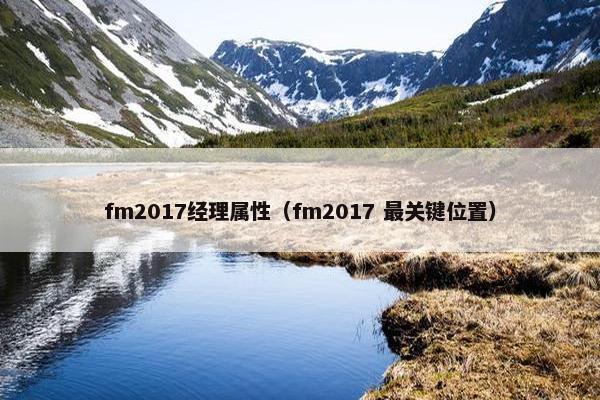 fm2017经理属性（fm2017 最关键位置）