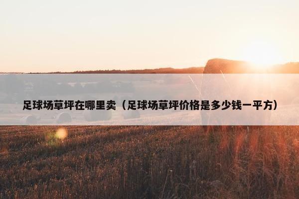 足球场草坪在哪里卖（足球场草坪价格是多少钱一平方）
