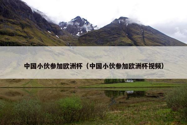 中国小伙参加欧洲杯(中国小伙参加欧洲杯视频) 中国小伙参加欧洲杯(中国小伙参加欧洲杯视频)