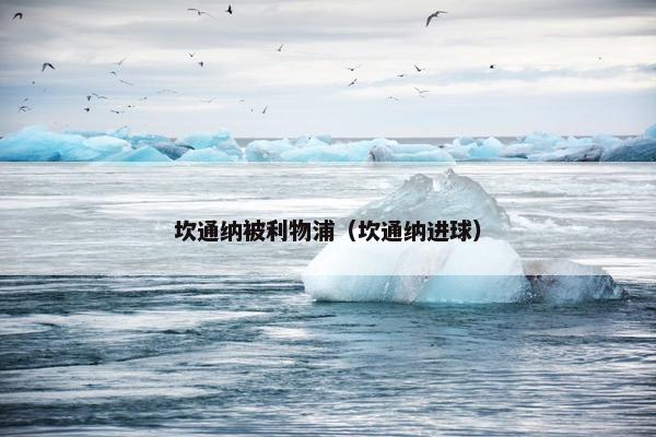 坎通纳被利物浦（坎通纳进球）