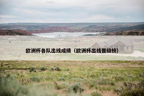 欧洲杯各队出线成绩（欧洲杯出线晋级榜）