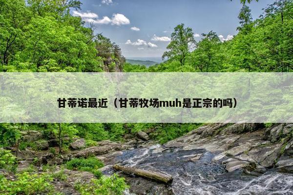 甘蒂诺最近（甘蒂牧场muh是正宗的吗）