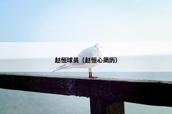 赵恒球员（赵恒心简历）