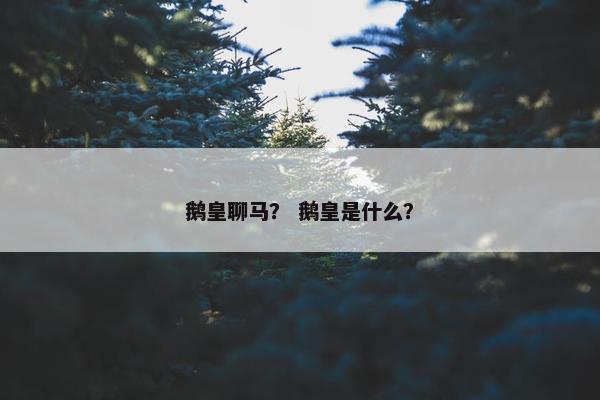 鹅皇聊马？ 鹅皇是什么？