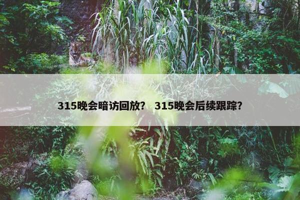 315晚会暗访回放？ 315晚会后续跟踪？