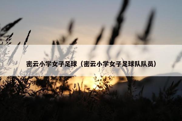 密云小学女子足球（密云小学女子足球队队员）