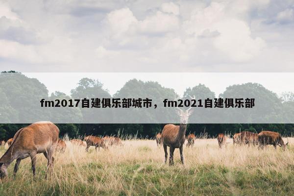 fm2017自建俱乐部城市，fm2021自建俱乐部