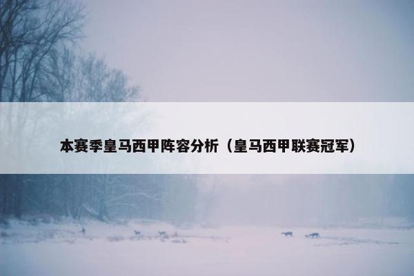 本赛季皇马西甲阵容分析（皇马西甲联赛冠军）
