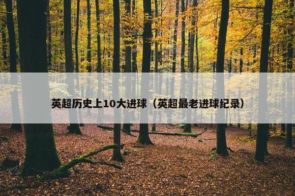 英超历史上10大进球（英超最老进球纪录）
