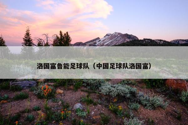 洛国富鲁能足球队（中国足球队洛国富）