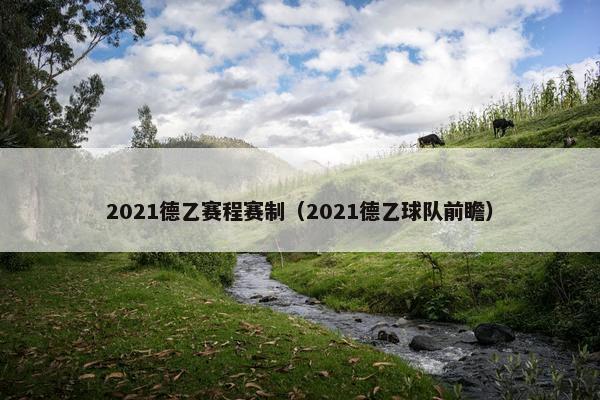 2021德乙赛程赛制（2021德乙球队前瞻）