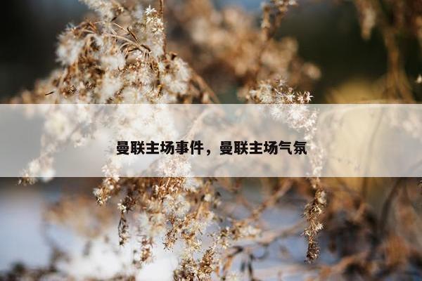 曼联主场事件，曼联主场气氛