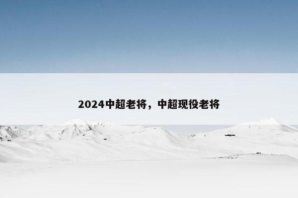 2024中超老将，中超现役老将