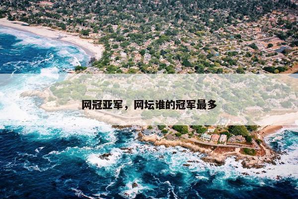 网冠亚军，网坛谁的冠军最多