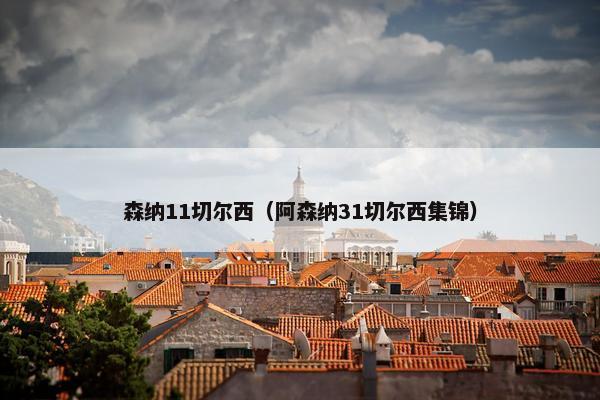 森纳11切尔西（阿森纳31切尔西集锦）