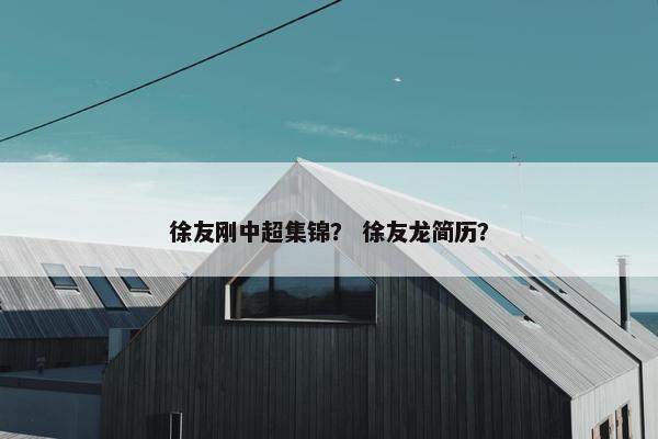 徐友刚中超集锦？ 徐友龙简历？