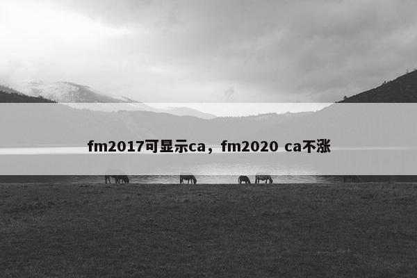 fm2017可显示ca，fm2020 ca不涨